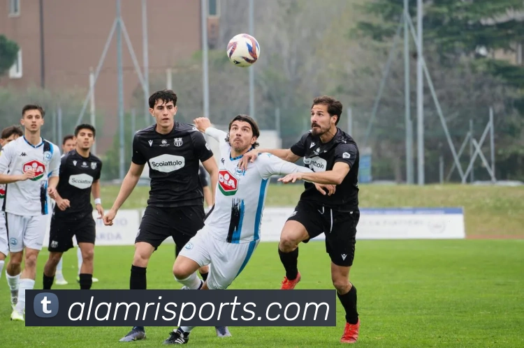 体育下注平台生态图